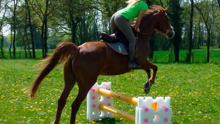 Barre d’équitation gonflable Educso