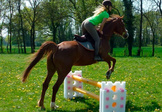 Barre d’équitation gonflable Educso