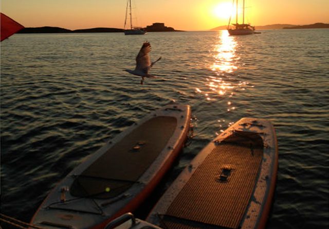 Paddle gonflable